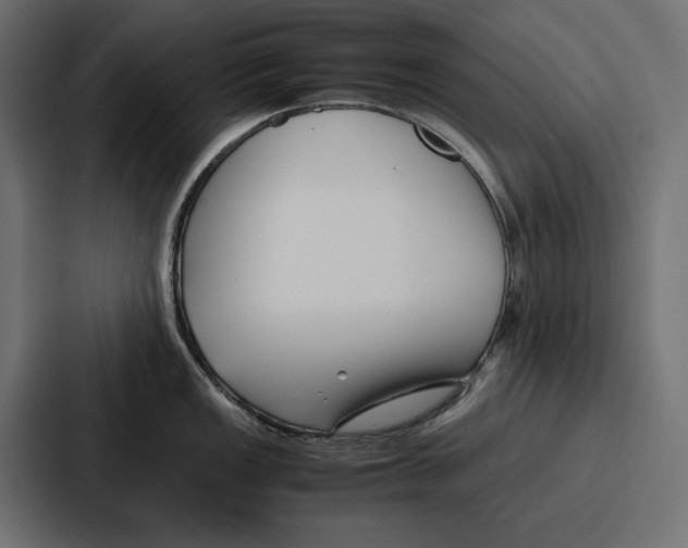 X0000086741149200705111630