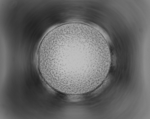 X0000086741150200705111630