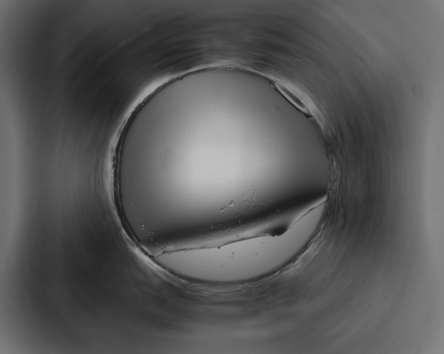 X0000086741151200705111630