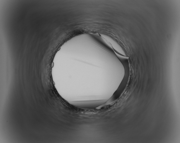 X0000086741153200705111629