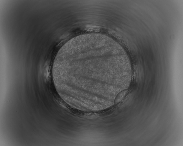 X0000086741154200705111629