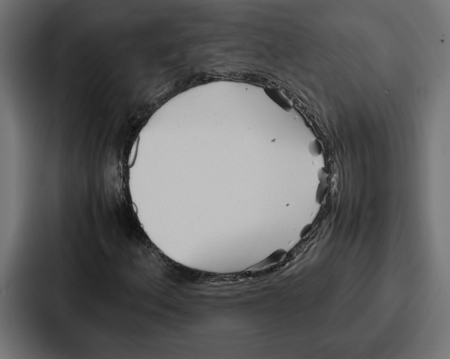 X0000086741156200705111629