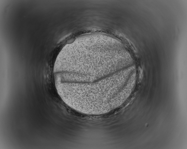 X0000086741158200705111629