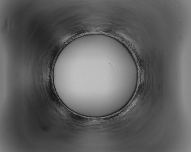 X0000086741161200705111629