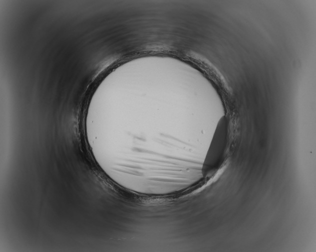 X0000086741162200705111629