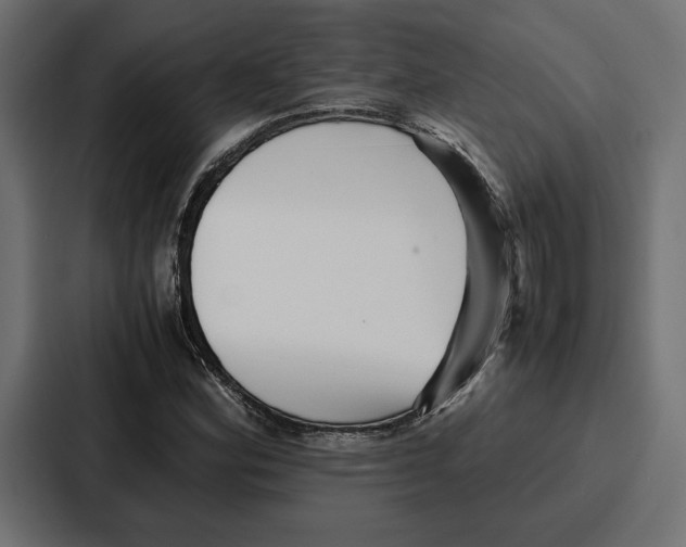 X0000086741164200705111629