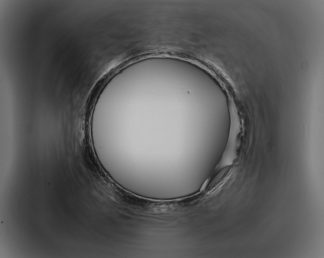 X0000086741165200705111629