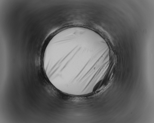 X0000086741166200705111629