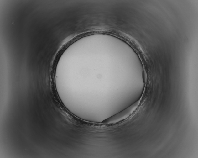 X0000086741168200705111629