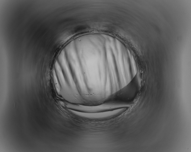 X0000086741169200705111629