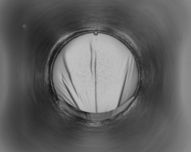 X0000086741172200705111629