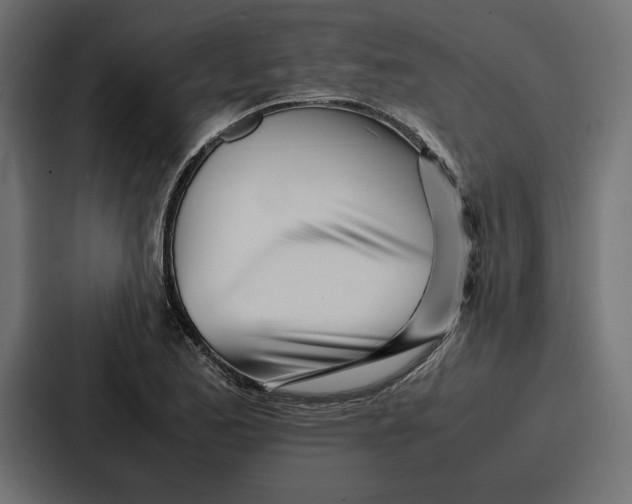 X0000086741173200705111629