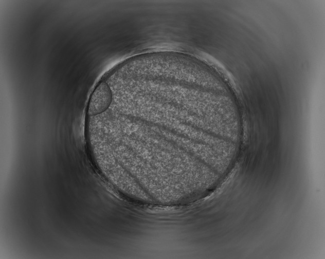 X0000086741174200705111629