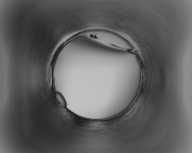 X0000086741175200705111629