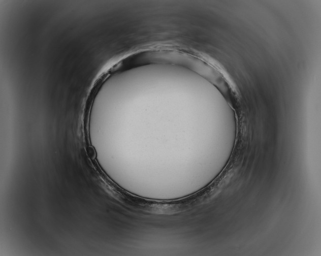 X0000086741176200705111629