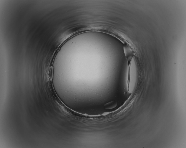 X0000086741177200705111629