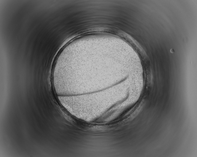 X0000086741178200705111629