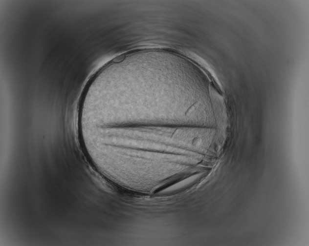 X0000086741179200705111629