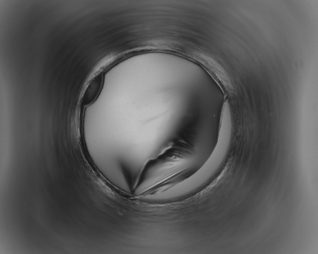 X0000086741180200705111629