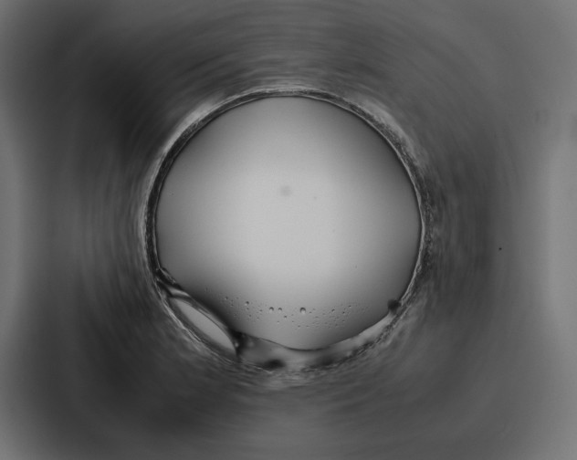 X0000086741181200705111629