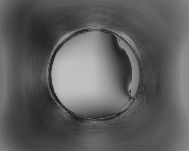 X0000086741183200705111629