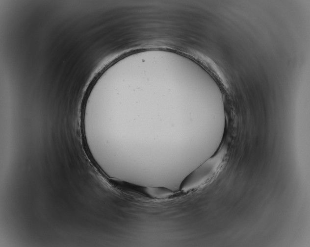 X0000086741184200705111629