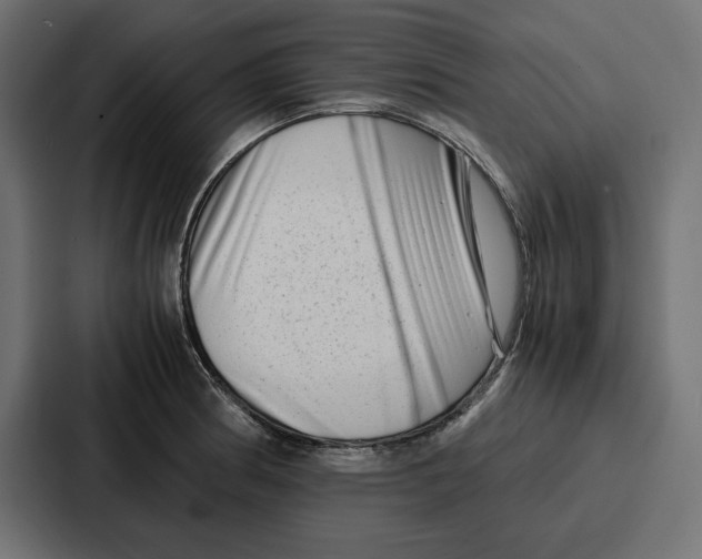 X0000086741186200705111629