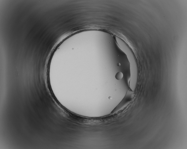 X0000086741187200705111629