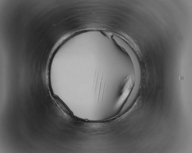 X0000086741188200705111629