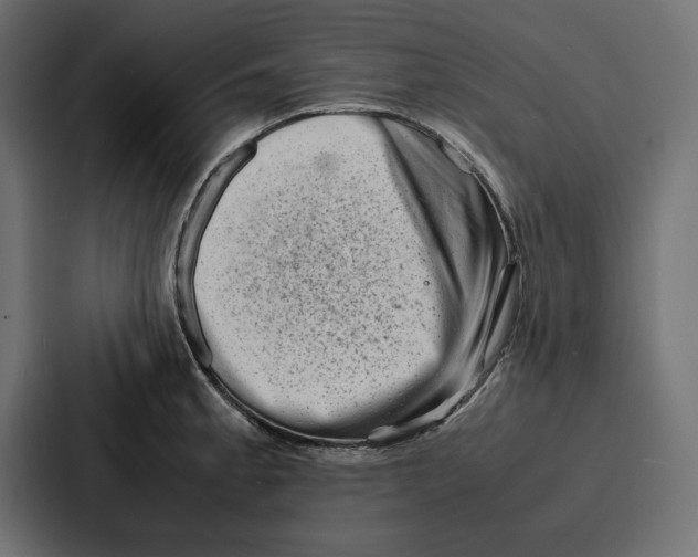 X0000086741189200705111629