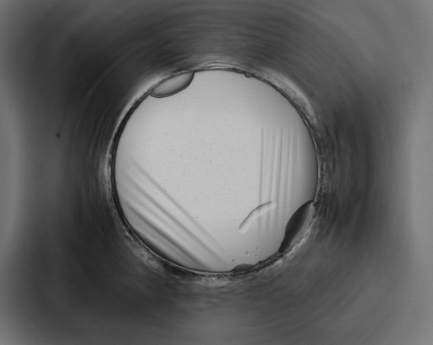 X0000086741190200705111629