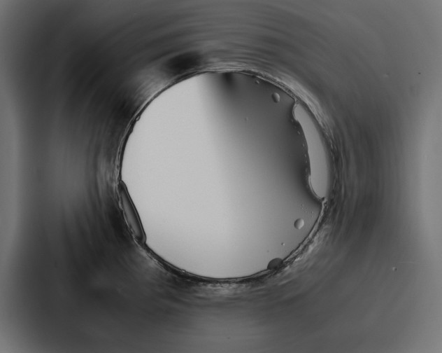 X0000086741193200705111629