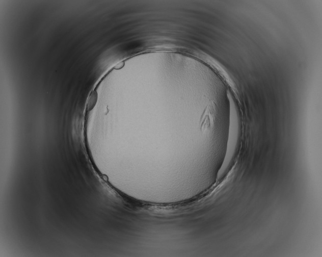 X0000086741194200705111629