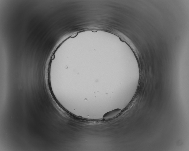 X0000086741195200705111629