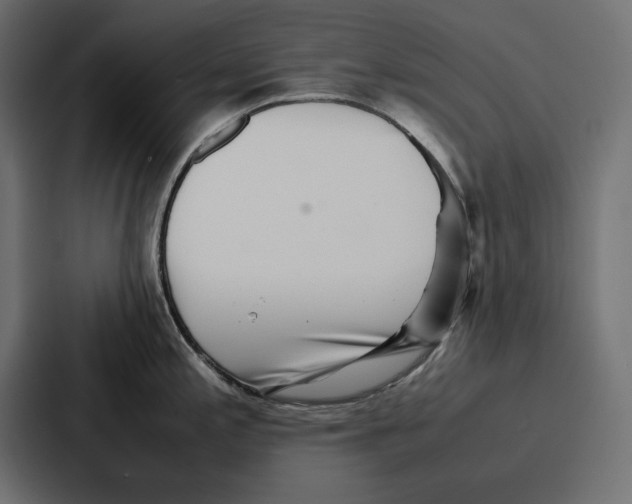 X0000086741197200705111629