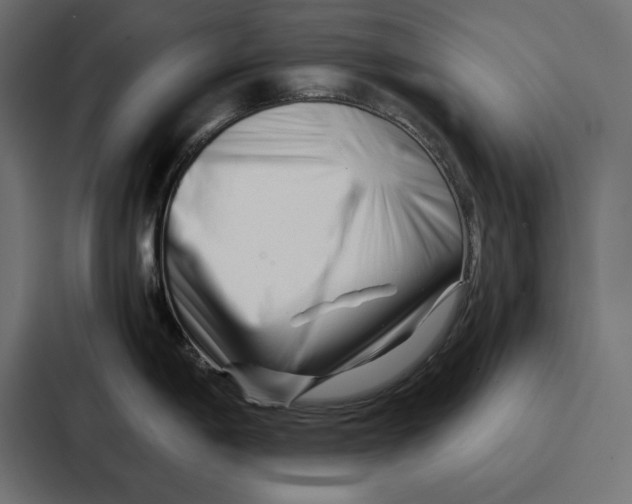 X0000086741198200705111629