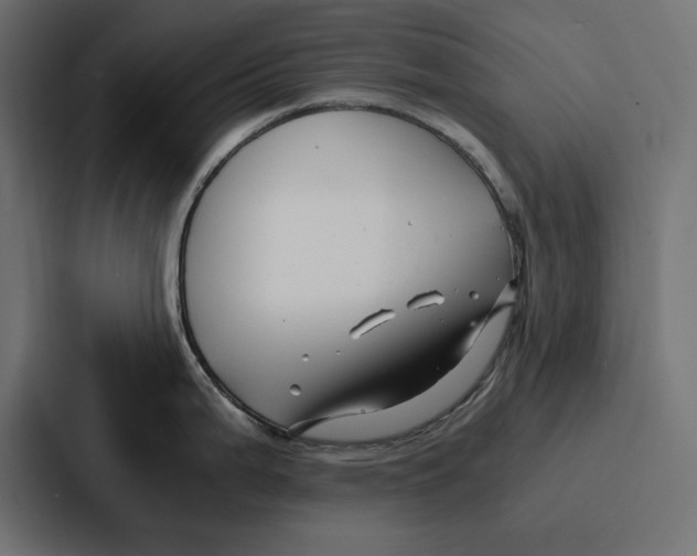 X0000086741199200705111628