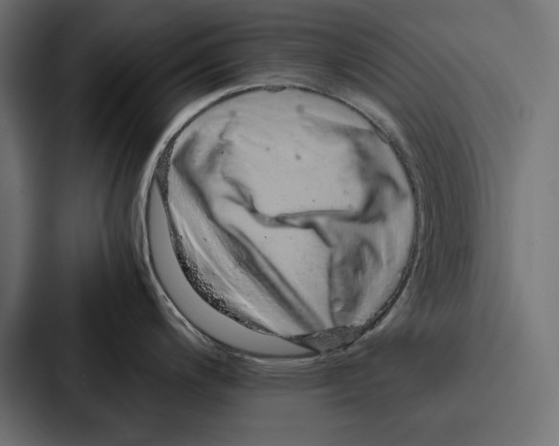 X0000086741200200705111628