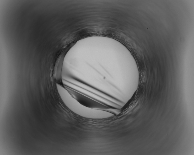 X0000086741202200705111628