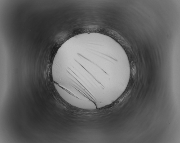 X0000086741204200705111628