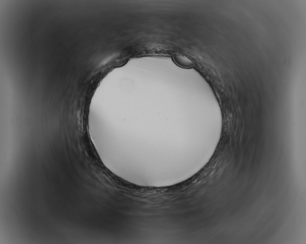 X0000086741205200705111628