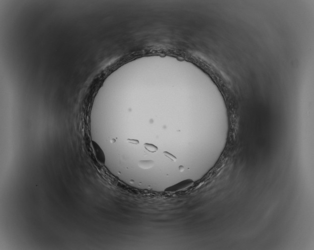 X0000086741207200705111628