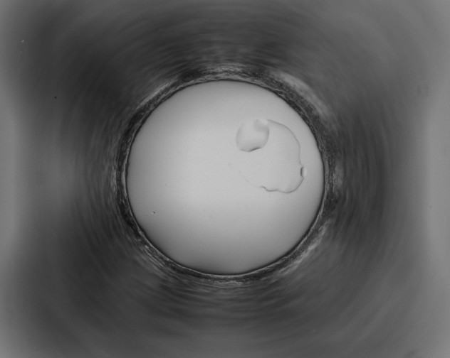 X0000086741209200705111628