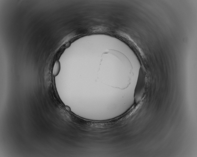 X0000086741211200705111628