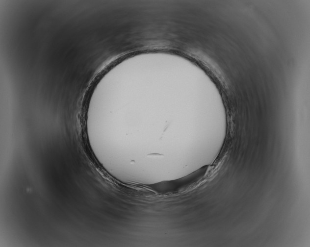 X0000086741212200705111628