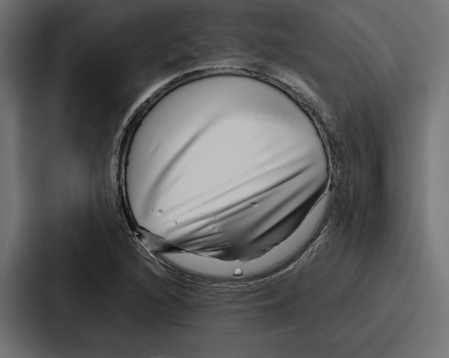 X0000086741216200705111628