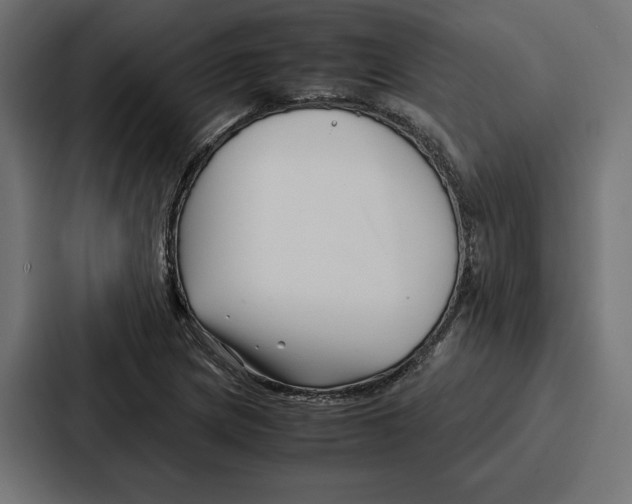 X0000086741217200705111628