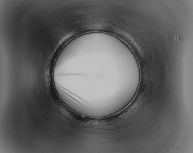 X0000086741218200705111628