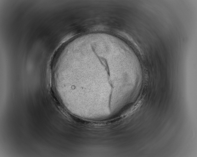 X0000086741219200705111628