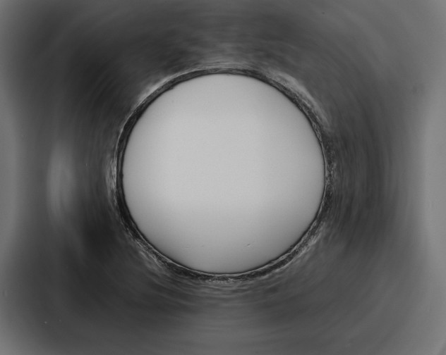 X0000086741220200705111628